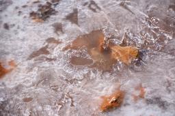 GPA_LeydeGlaciares 11 © Martin Katz Greenpeace.jpg