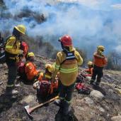 Incendios PN Los Glaciares Santa Cruz © Consejo Agrario Provincial.jpg