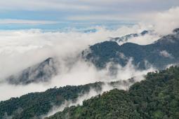 Parque Nacional Calilegua © Martin Katz  Greenpeace (2).jpg