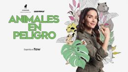 Animales en peligro.jpg