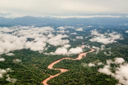 Selva de Yungas 02 © Martin Katz Greenpeace.jpg
