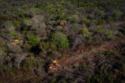 ___Deforestación Salta © Tomás Cuesta Greenpeace.jpg