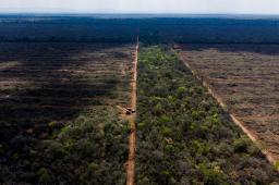 ___Deforestación Salta © Tomás Cuesta Greenpeace (2).jpg