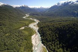 Bosque Andino Patagónico (15) © Markus Mauthe  Greenpeace.jpg