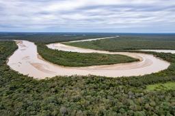 Gran Chaco Rio Bermejo 02 © Martin Katz Greenpeace.jpg