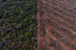 ___Deforestación Salta © Tomás Cuesta Greenpeace (3).jpg