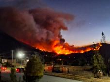 Incendios en El Hoyo Imagen Redes Sociales.jpg