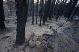Incendios El Hoyo Chubut Crédito Matías Garay Greenpeace (1).jpg
