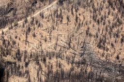 GPA Incendios Pto. Patriada Chubut 19 © Matias Garay Greenpeace.jpg