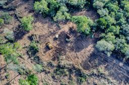 Formosa 1 © Martin Katz Greenpeace.jpg