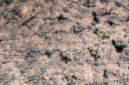 Santiago del Estero 2 © Martin Katz _ Greenpeace.jpg