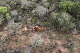 Salta 1 © Martin Katz Greenpeace.jpg