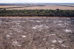 Salta 2 © Martin Katz Greenpeace.jpg