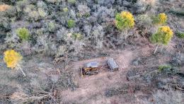 TAPA © Martin Katz _ Greenpeace.jpg