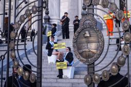 Inodoros Congreso @ Pepe Mateos  Greenpeace (8).jpg