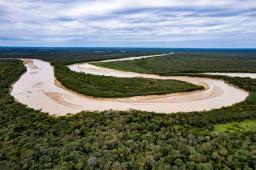 7 Bosques Gran Chaco Rio Bermejo 02 © Martin Katz Greenpeace.jpg