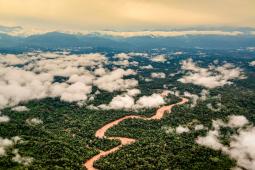 7 Bosques Selva de Yungas 02 © Martin Katz Greenpeace.jpg