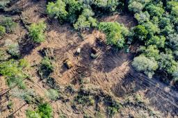 Deforestacion Formosa  © Martin Katz Greenpeace.jpg