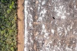 Deforestacion en Salta © Martin Katz Greenpeace.jpg