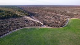 Deforestación en Chaco © Martin Katz _ Greenpeace.jpg