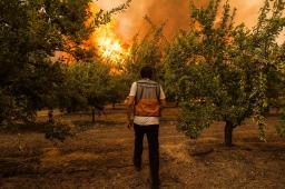 __GPCH Incendios forestales Chile (2) © Cristobal Olivares Greenpeace.JPG