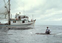 1975 Campaña Ballenas.jpg