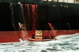 1992 Campaña Ballenas.jpg