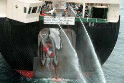 2000 Campaña Ballenas.jpg