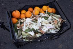 Desperdicio de Alimentos 55 © Sofia Janjari Greenpeace.jpg
