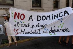 No a Dominga Ministerio de Ambiente (2).jpg