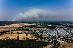 Incendios Santa Fé Bio Bio 2026 Crédito Diego Figueroa Migrar Photo - Greenpeace (2).jpg