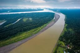 GPCO Amazonas Colombia @ Juan Camilo Lindo - Greenpeace.jpg