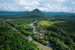 GPCO Chocó Colombia @ Juan Camilo Lindo - Greenpeace.jpg