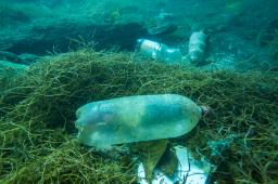 __Contaminación Santa Marta Crédito Martín Katz Greenpeace.jpg