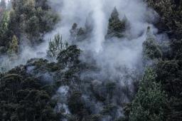 __Incendios Colombia Crédito Mariano Vimos Greenpeace.JPG