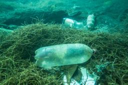 _GPCO Contaminación Plastica Santa Marta Crédito Martín Katz Greenpeace.jpg