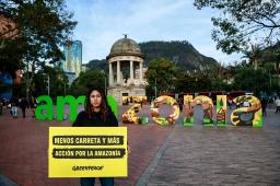 Amazonia Parque Periodistas Crédito Diana Rey Melo Greenpeace (10).jpg