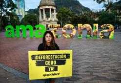 ___Amazonia Parque Periodistas Crédito Diana Rey Melo Greenpeace (1).jpg