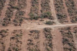 Deforestación Norte Argentino (4).jpg
