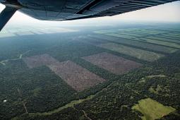 Deforestación Norte Argentino (5).jpg