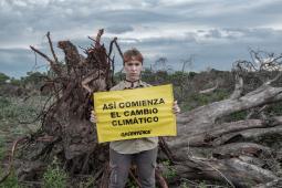 Cambio Climático. Deforestación Norte Argentino (1).jpg