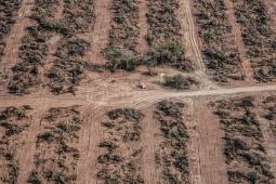 Deforestación Norte Argentino (3).jpg
