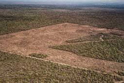 Deforestación Norte Argentino (5).jpg