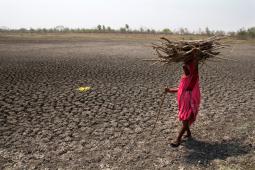 Sequía en India.jpg