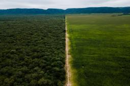 Deforestacion Santiago.jpg