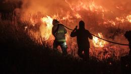 _GPA Incendios Delta del Parana (5).jpg
