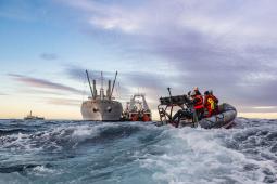 Ship Tour Arctic Sunrise 2022 (15) Transbordo Pesca.jpg