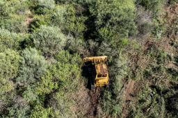 GPA Deforestación Chaco Noviembre 2021 (2).jpg