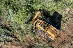 GPA Deforestación Chaco Noviembre 2021 (3).jpg