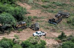 GPA Deforestación ilegal Santiago del Estero Diciembre 2021 (4).jpg